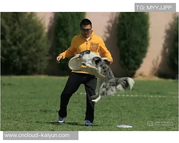 南京飞盘队在极限运动世界杯中的比赛经验与表现分析