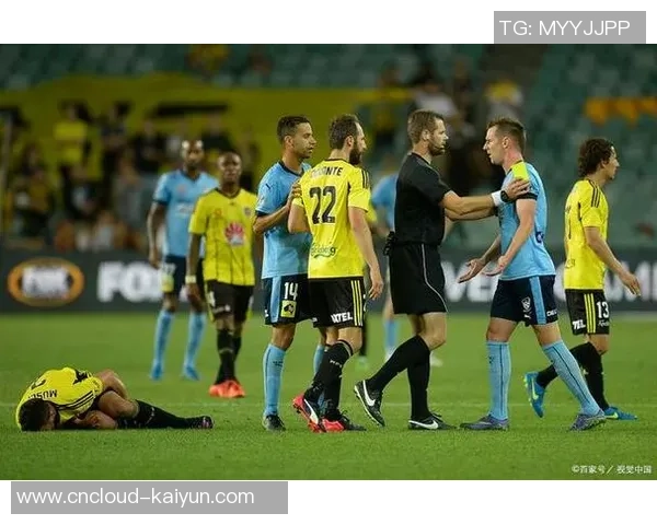 墨尔本与惠灵顿对决比分预测分析及赛前展望